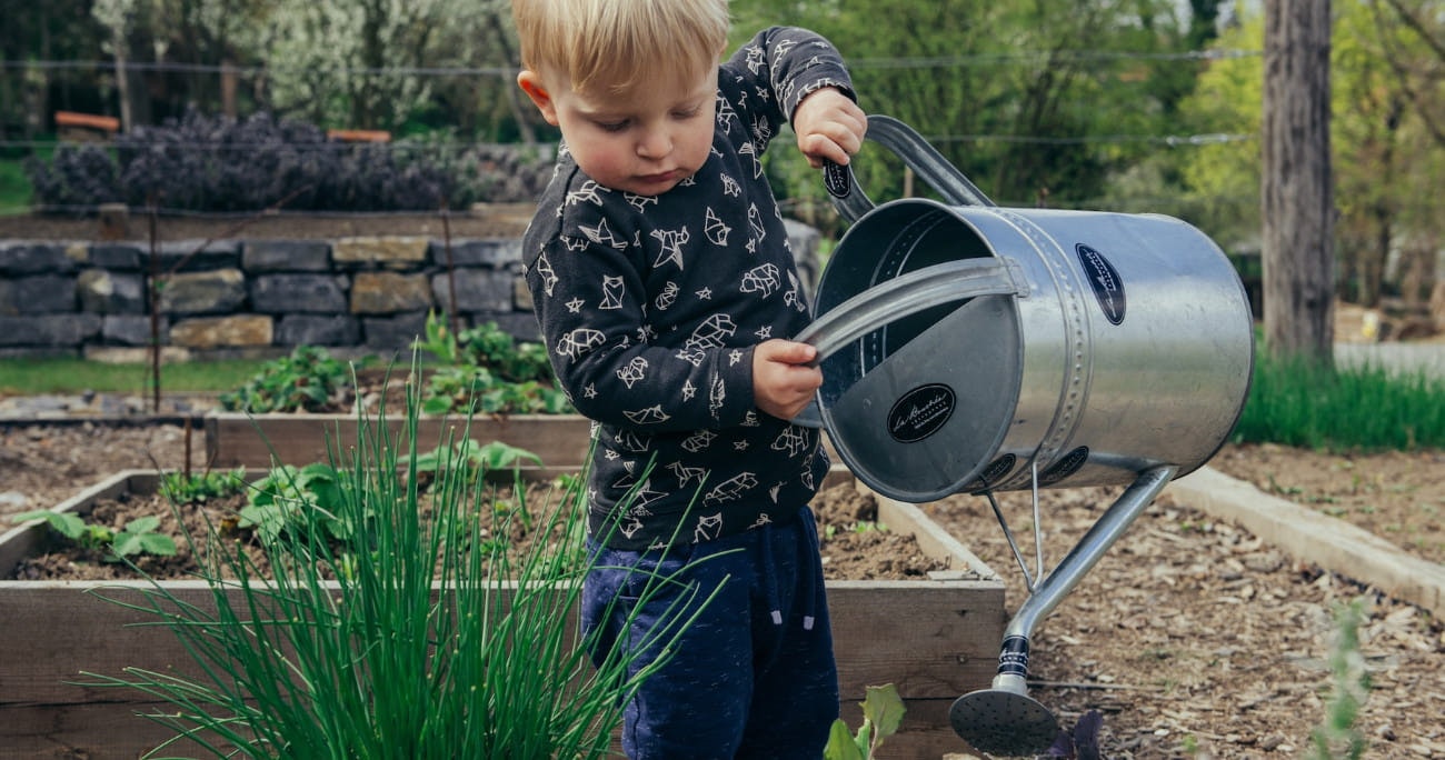 small child watering a plant with a watering can